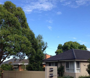 热门国际交友案例