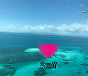 跨国交友成功案例