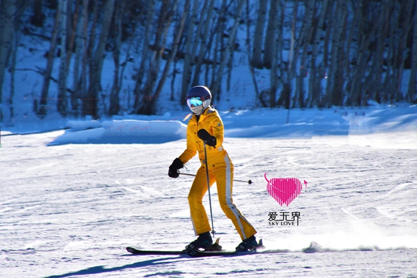 热门国际交友案例