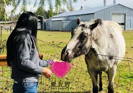 热门国际交友案例