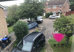 跨国交友成功案例