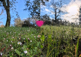 跨国交友成功案例