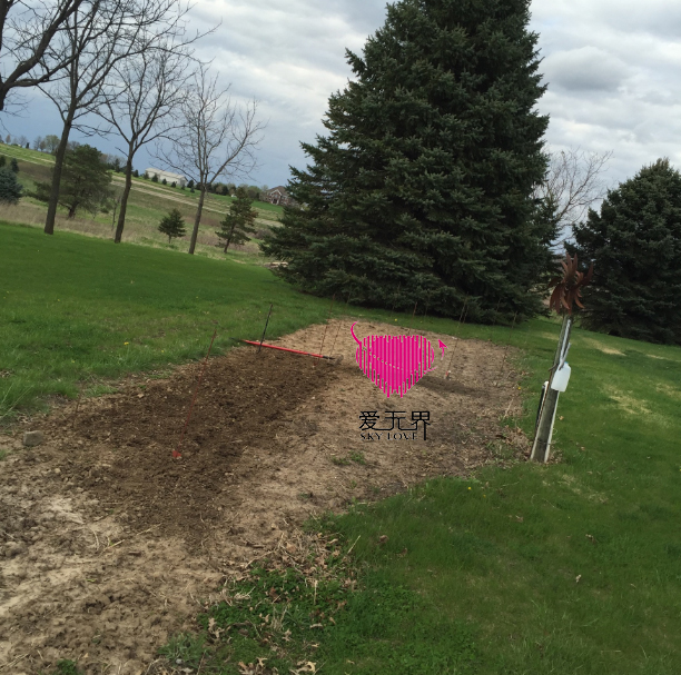 国际交友,国际交友的真实生活,国际信件翻译,美国,国际交友交友网站