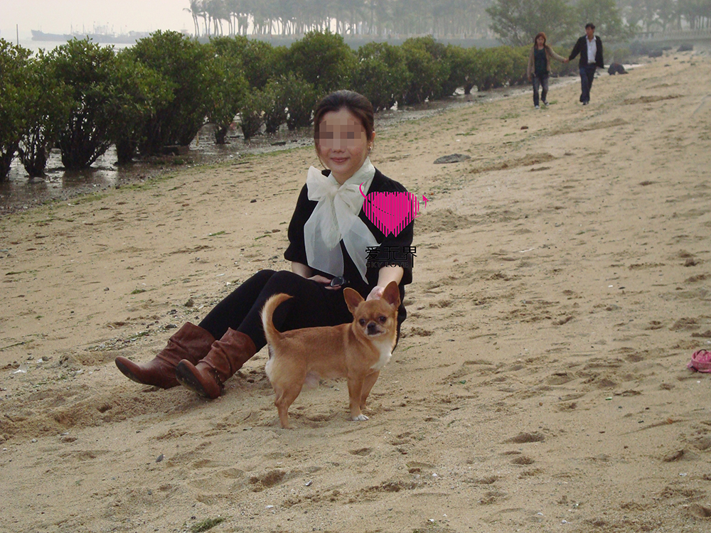 国际交友,国际交友,国际交友网,国际交友介绍所,国际交友中介