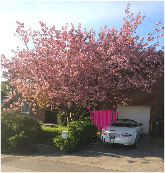 国际交友,国际交友,国际交友网,国际交友介绍所,国际交友中介