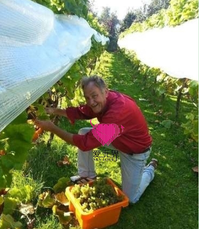 翻译信件,跨国交友,国际交友网,海外交友,跨国交友中介