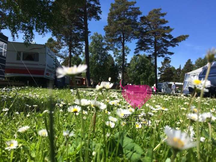 跨国交友,嫁给老外,嫁到瑞典,瑞典旅游,瑞典移民的真实生活