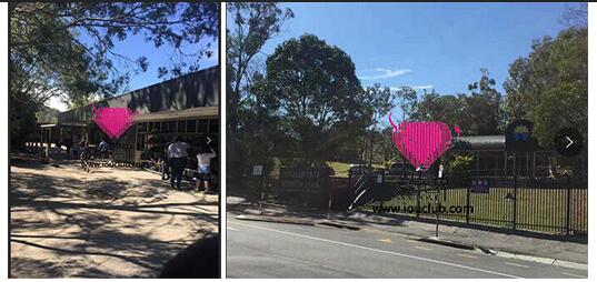 布里斯班,布里斯班旅游攻略,澳洲生活,瑞典的生活,国际交友