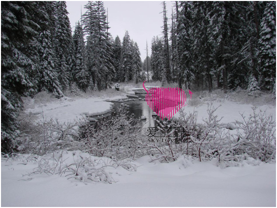 翻译软件,嫁给美国人,移民美国,中美跨国交友,如何办理美国的签证