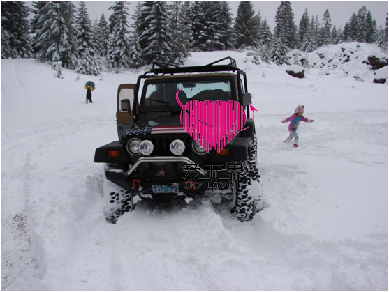 翻译软件,嫁给美国人,移民美国,中美跨国交友,如何办理美国的签证