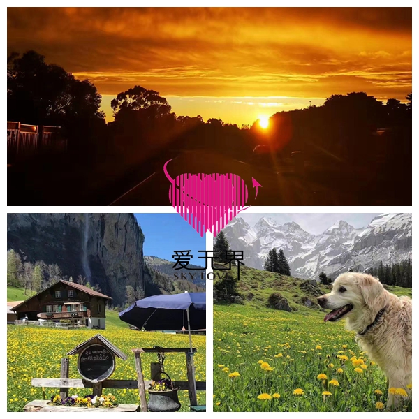 单亲妈妈嫁澳大利亚,改变全家命运 单亲妈妈嫁澳大利亚,改变全家命运