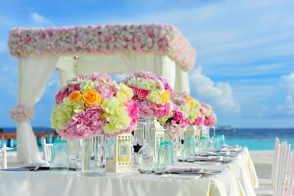 国际交友哪家好