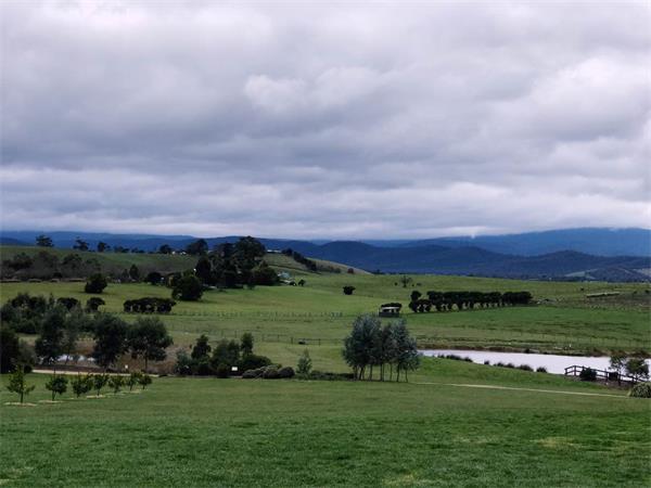 到加拿大旅游签证须要什么