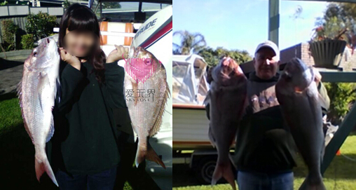 阿里红娘,国际交友,国际交友,国际交友,跨国交友,成功案例