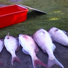 阿里红娘,国际交友,国际交友,国际交友,跨国交友,成功案例