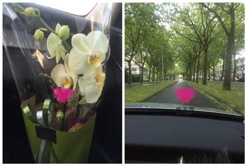 比利时,成功案例,阿里红娘,会员见面