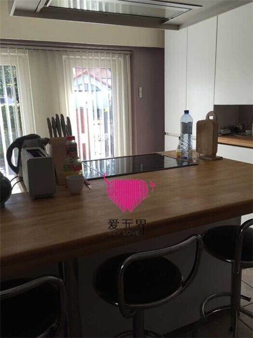 比利时,成功案例,阿里红娘,会员见面