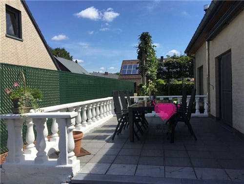 比利时,成功案例,阿里红娘,会员见面