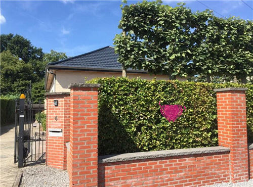 比利时,成功案例,阿里红娘,会员见面