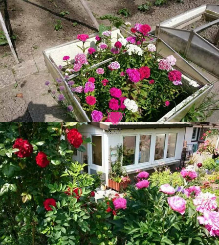 阿里红娘,成功案例,国际交友,国际交友