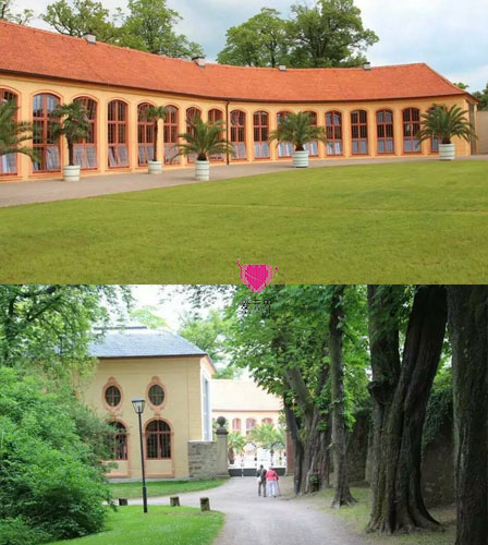 阿里红娘,成功案例,国际交友,国际交友